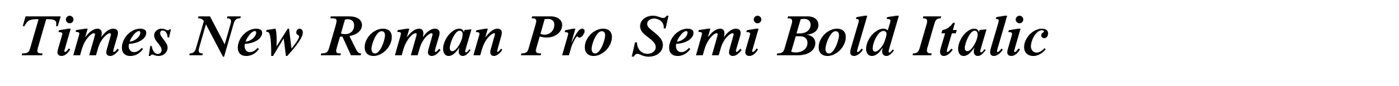 Times New Roman Pro Semi Bold Italic image